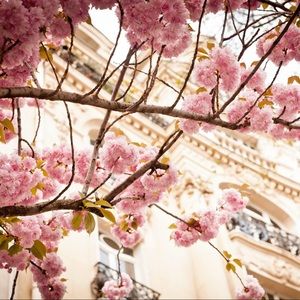 Meet your Posher, Isabell