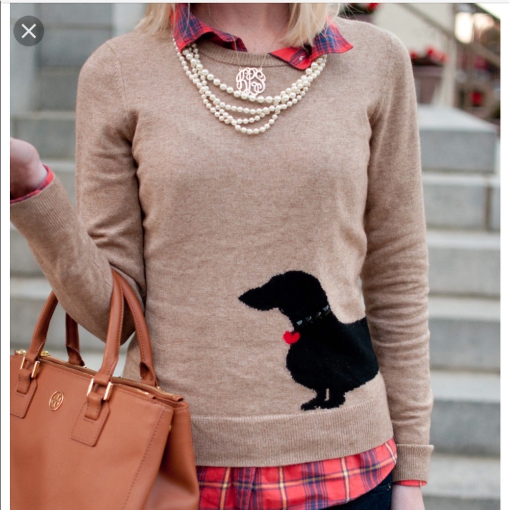 ✨ISO✨ C Wonder Dachshund Sweater