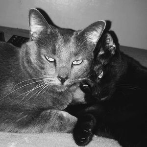 Meet your Posher, Omar