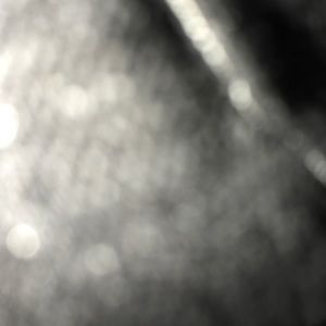 Meet your Posher, Daryl