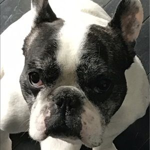 Meet your Posher, Max