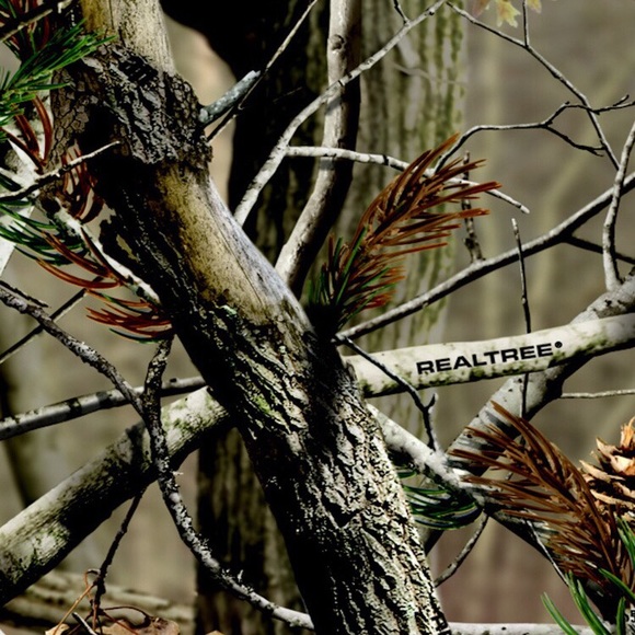 Meet your Posher, Jason - Picture 1 of 1