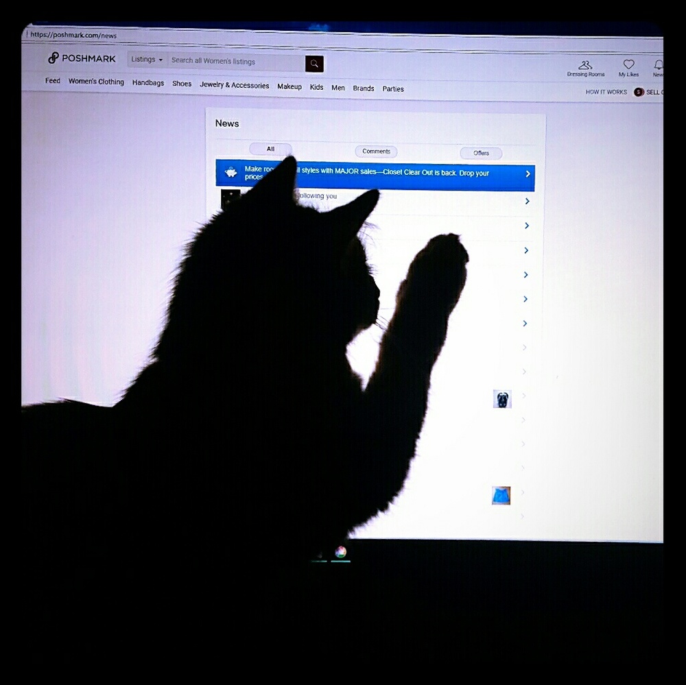 High 5 from Tigress!!