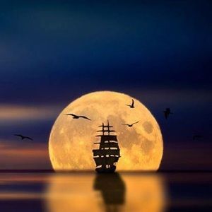 Meet your Posher, Wael