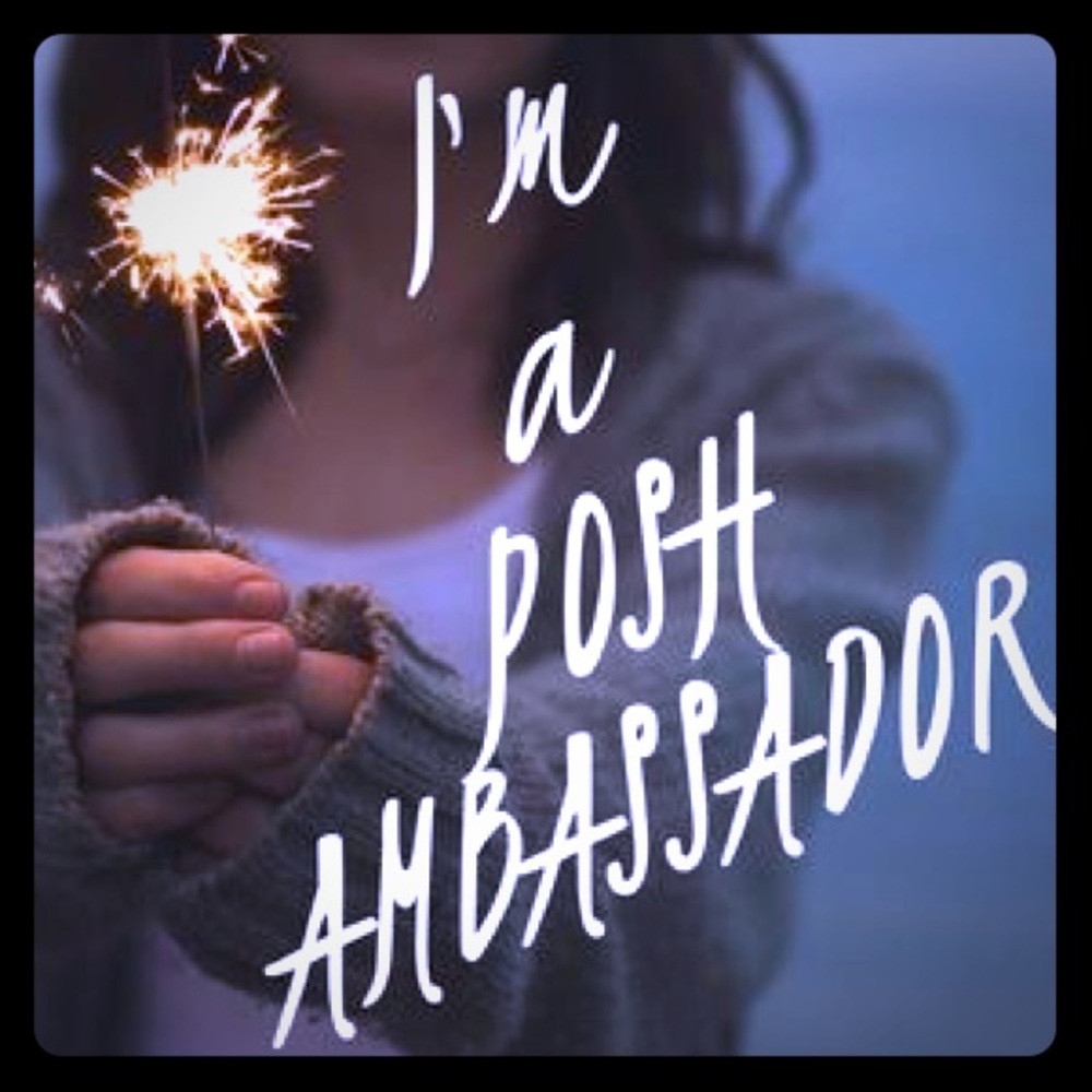 POSH AMBASSADOR