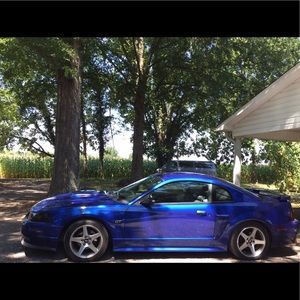 Meet your Posher, Nathaniel