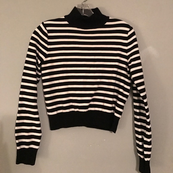 Zara Sweaters - Cropped Zara mock turtleneck