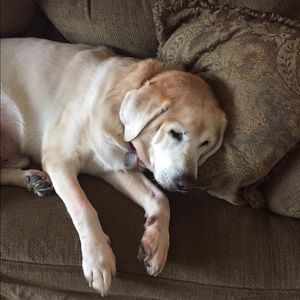 Meet your Posher, Trent