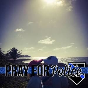 Meet your Posher, Jose