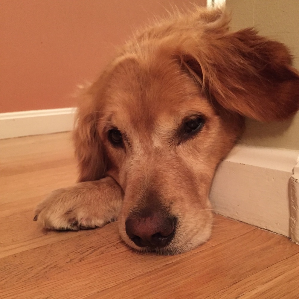 Meet your Posher, Leslie