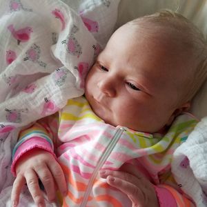 Meet your Posher, Wanda