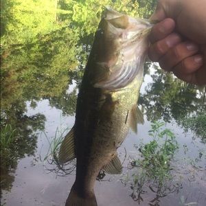 Meet your Posher, Ivan