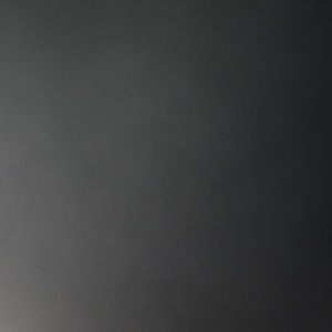 Meet your Posher, Van