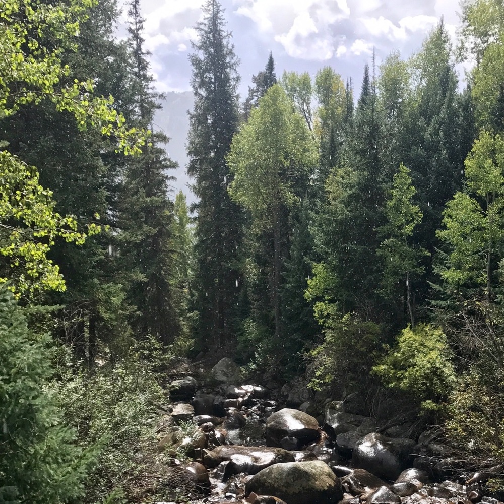 Meet your Posher, Kaitlyn