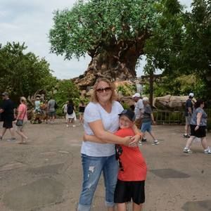 Meet your Posher, Joy