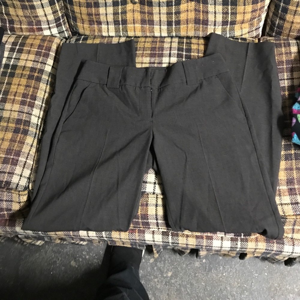 Dress Pants