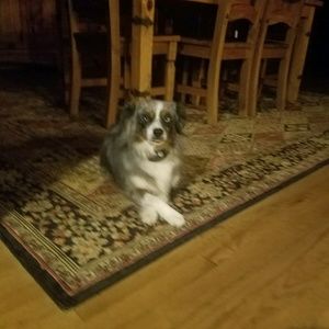 Meet your Posher, Kim