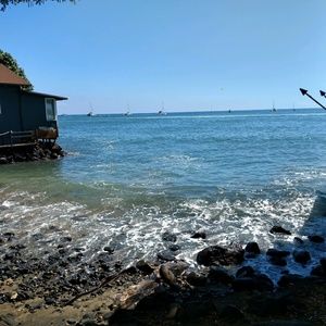 Meet your Posher, Shirley