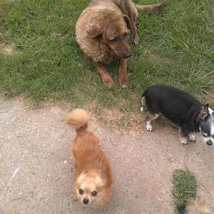 Meet your Posher, Sherry