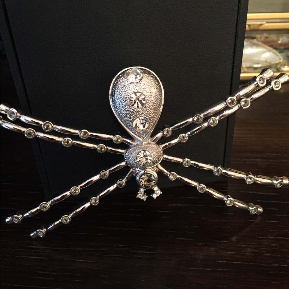 Beautiful spider 🕷 pin