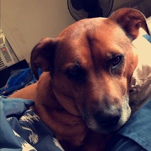 Meet your Posher, Tiffany