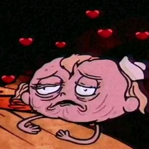 Meet your Posher, Bruce