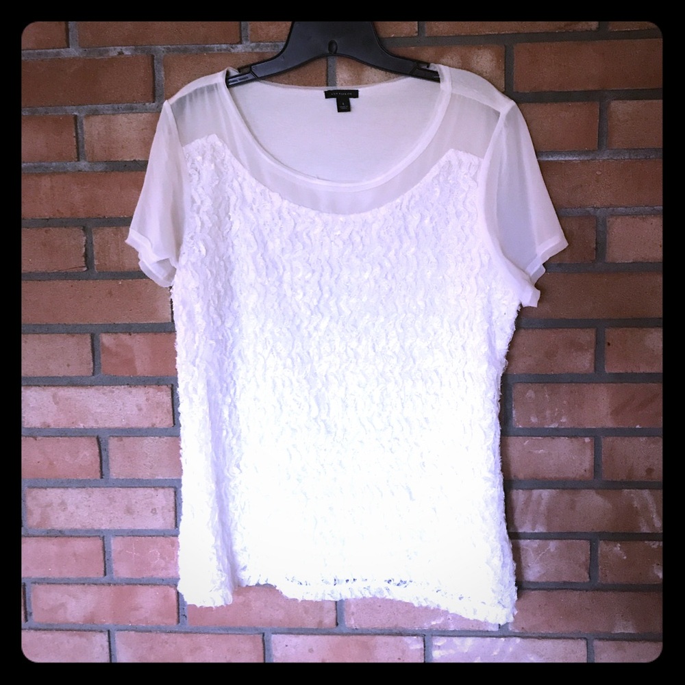 Lace Ann Taylor Blouse