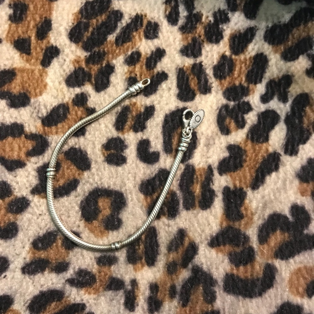 Authentic Pandora Bracelet & Starter Charm
