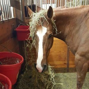 Meet your Posher, Jodi