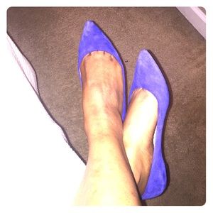 Blue Ballerina pointed flats