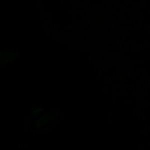 Meet your Posher, Raul