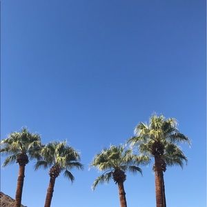 Meet your Posher, Tara