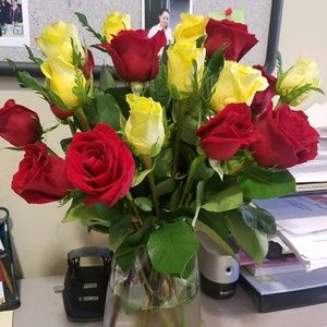 Meet your Posher, Susana