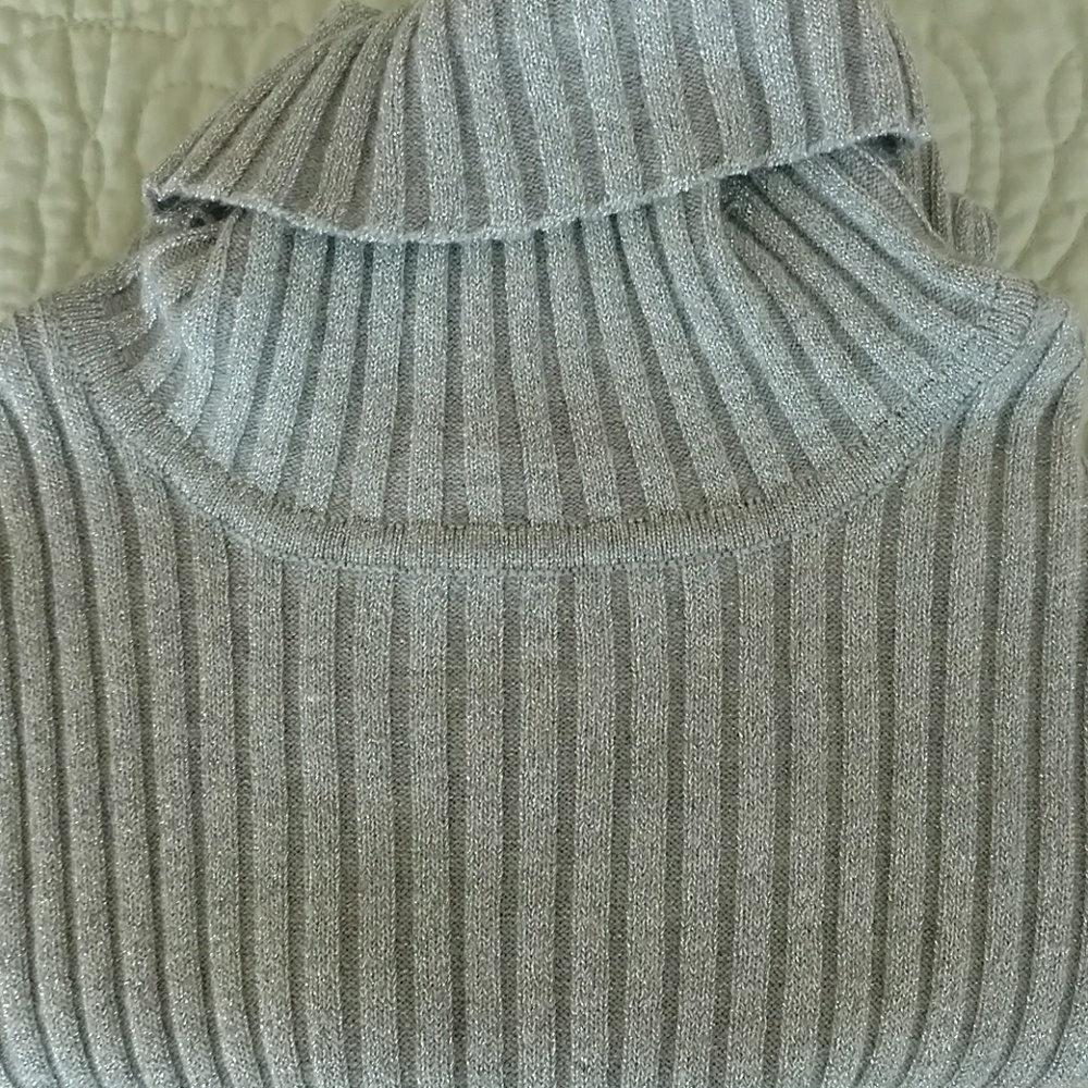 Silver Express Turtleneck