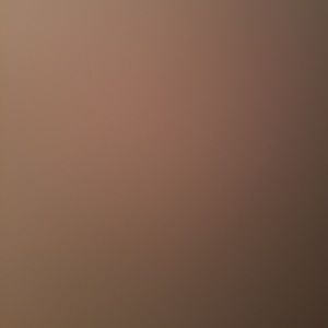 Meet your Posher, Treyvon