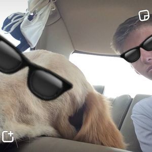 Meet your Posher, Bailey