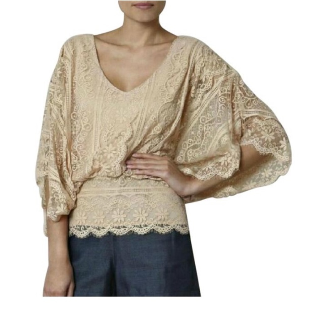 Lace Batwing Dolman Blouse Top