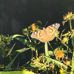 Meet your Posher, April