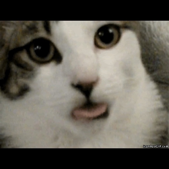 Meet your Posher, Brian - Picture 1 of 1