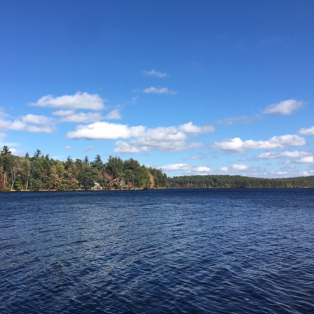 Meet your Posher, April