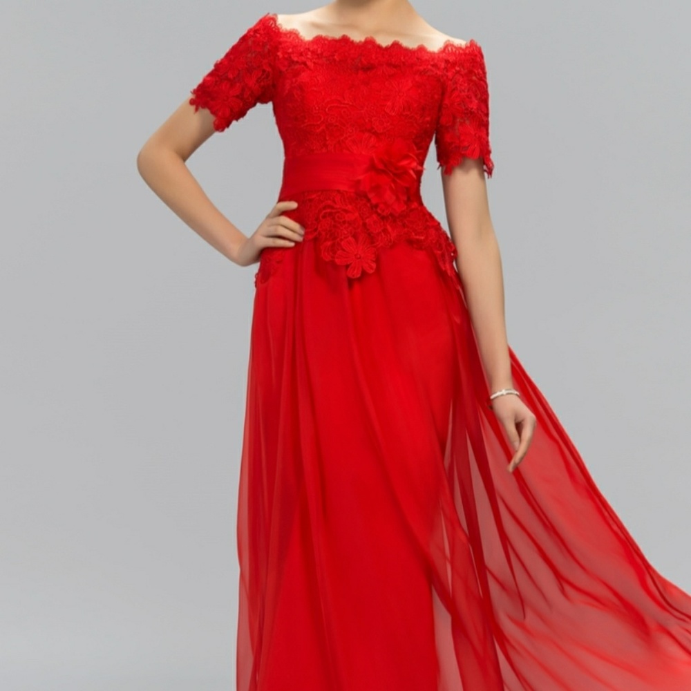 Brand new Designer evening gown/dress