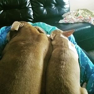 Meet your Posher, Paige