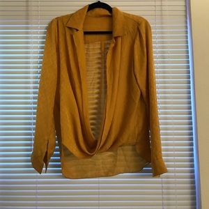 Oversized deep V long sleeve blouse