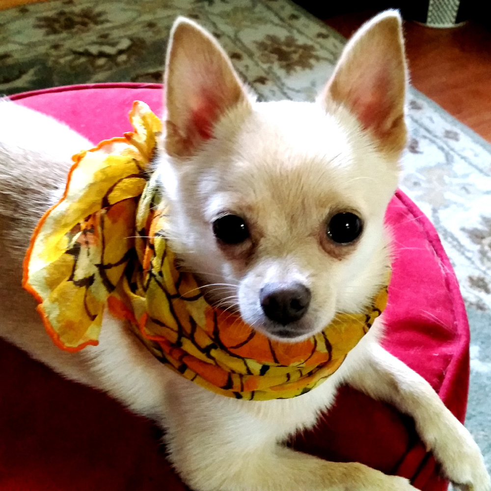 MORE TWIGGYGLAM COMING SOON!!