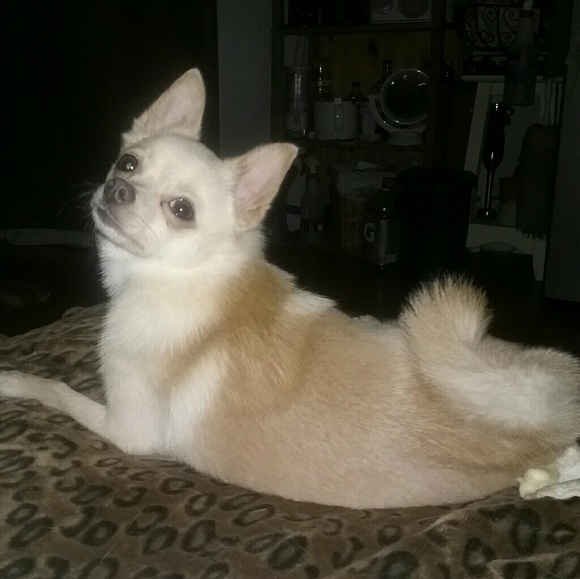 MORE TWIGGYGLAM COMING SOON!! - Picture 6 of 8