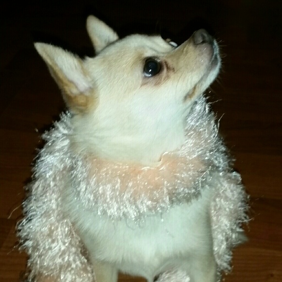 MORE TWIGGYGLAM COMING SOON!! - Picture 3 of 8