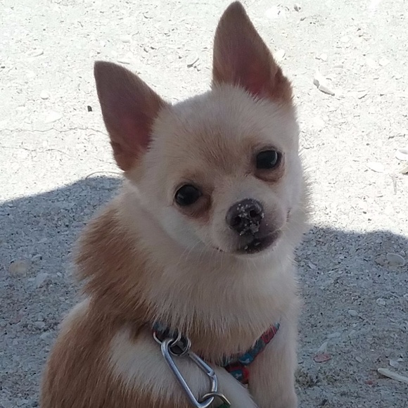 MORE TWIGGYGLAM COMING SOON!! - Picture 2 of 8