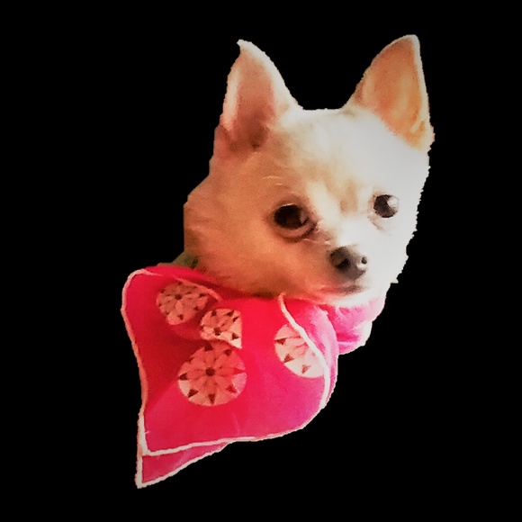 MORE TWIGGYGLAM COMING SOON!! - Picture 7 of 8