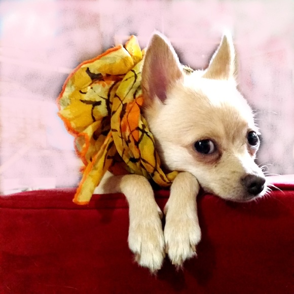 MORE TWIGGYGLAM COMING SOON!! - Picture 5 of 8