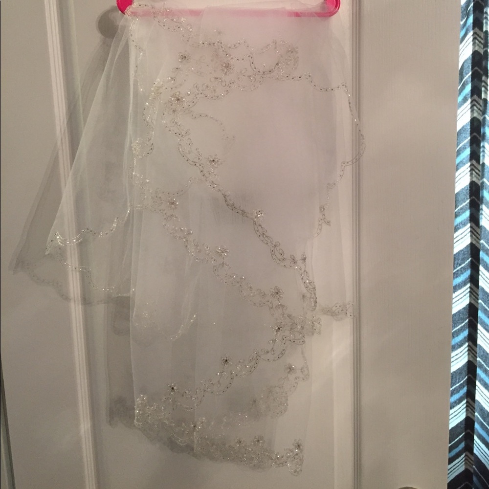 Wedding veil from Davids Bridal